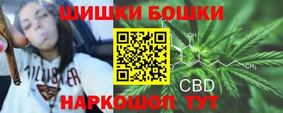 СК Ливны