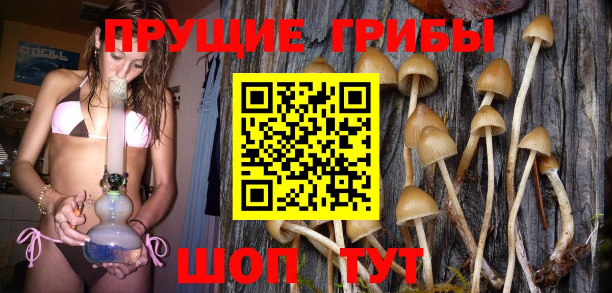 Псилоцибиновые грибы Magic Shrooms  Вход с VPN  что такое   Зеленодольск 